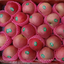 Proveedor regular de Fresh Red Qinguan Apple